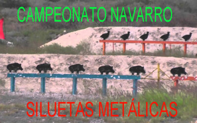 Gran igualdad en el Campeonato Navarro de Siluetas Metálicas