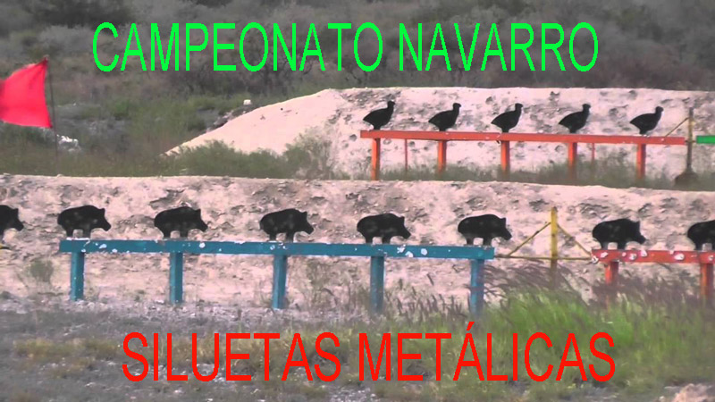 Gran igualdad en el Campeonato Navarro de Siluetas Metálicas