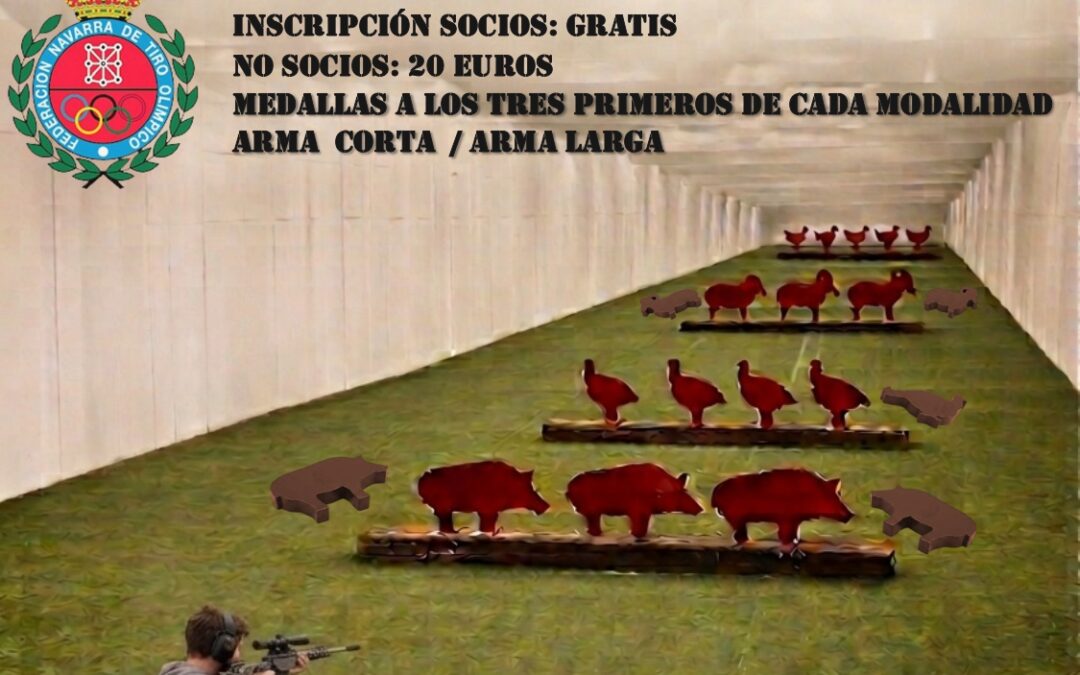 Cartel del Campeonato Navarro de Siluetas Metálicas.